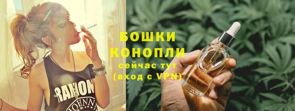 шишки Елабуга