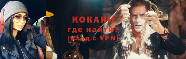 мдпв Елизово