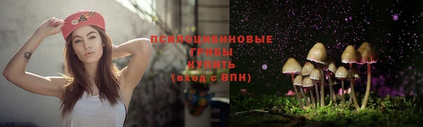 мдпв Елизово
