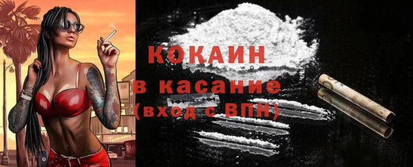 шишки Елабуга