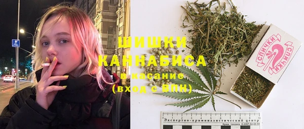 шишки Елабуга