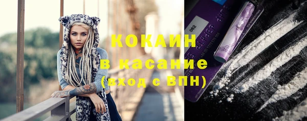 шишки Елабуга